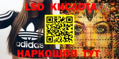 прущие крисы Кимры